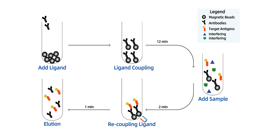 Immunoaffinity Purification Kit (Magnetic Beads Method)