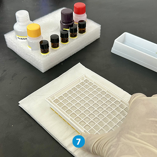 T-2 toxin ELISA Quantitative  Test Kit
