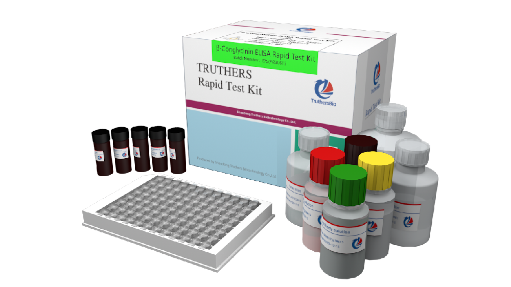 Soybean β-conglycinin-y.png