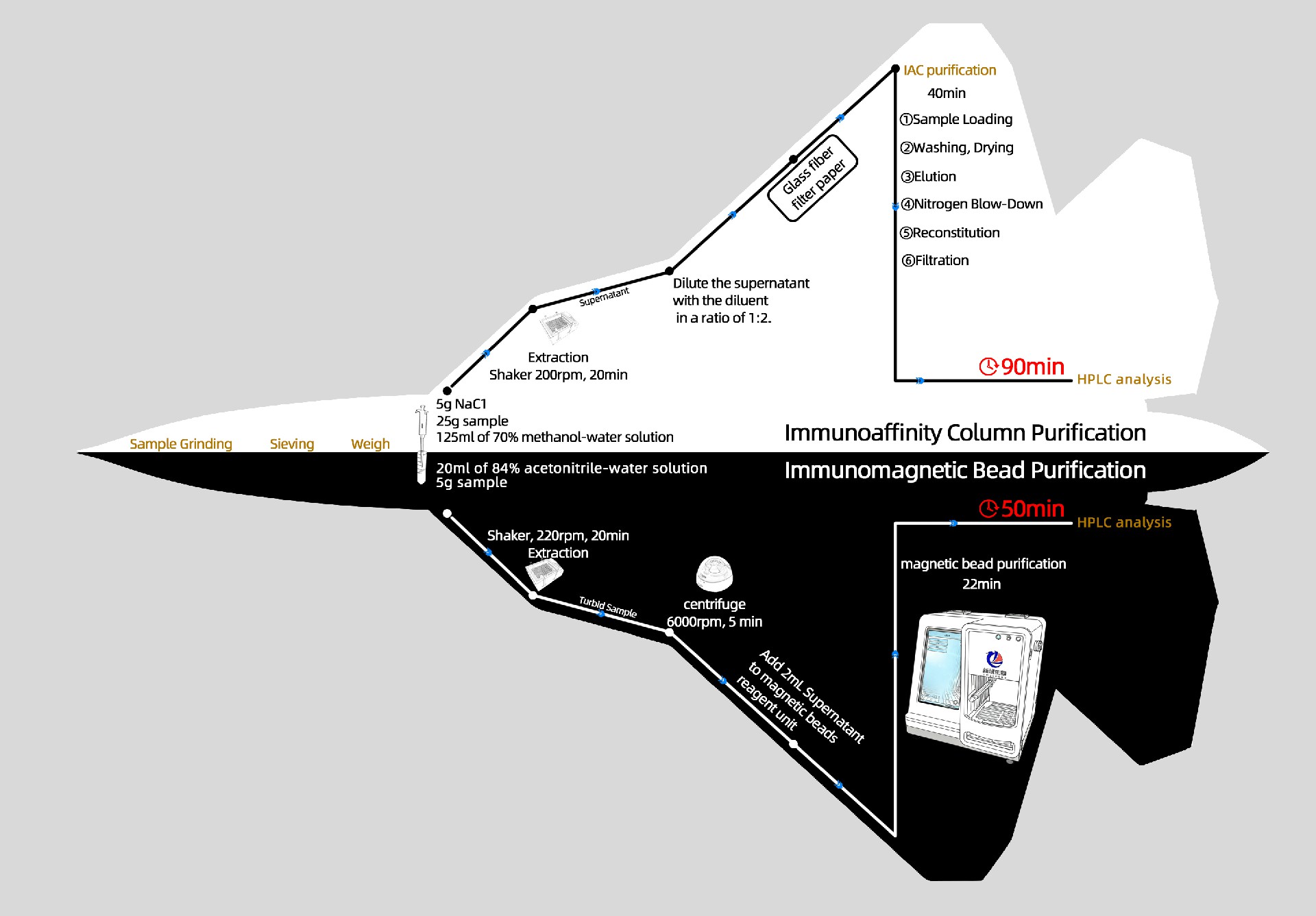 Immunomagnetic beads technology workflow and process