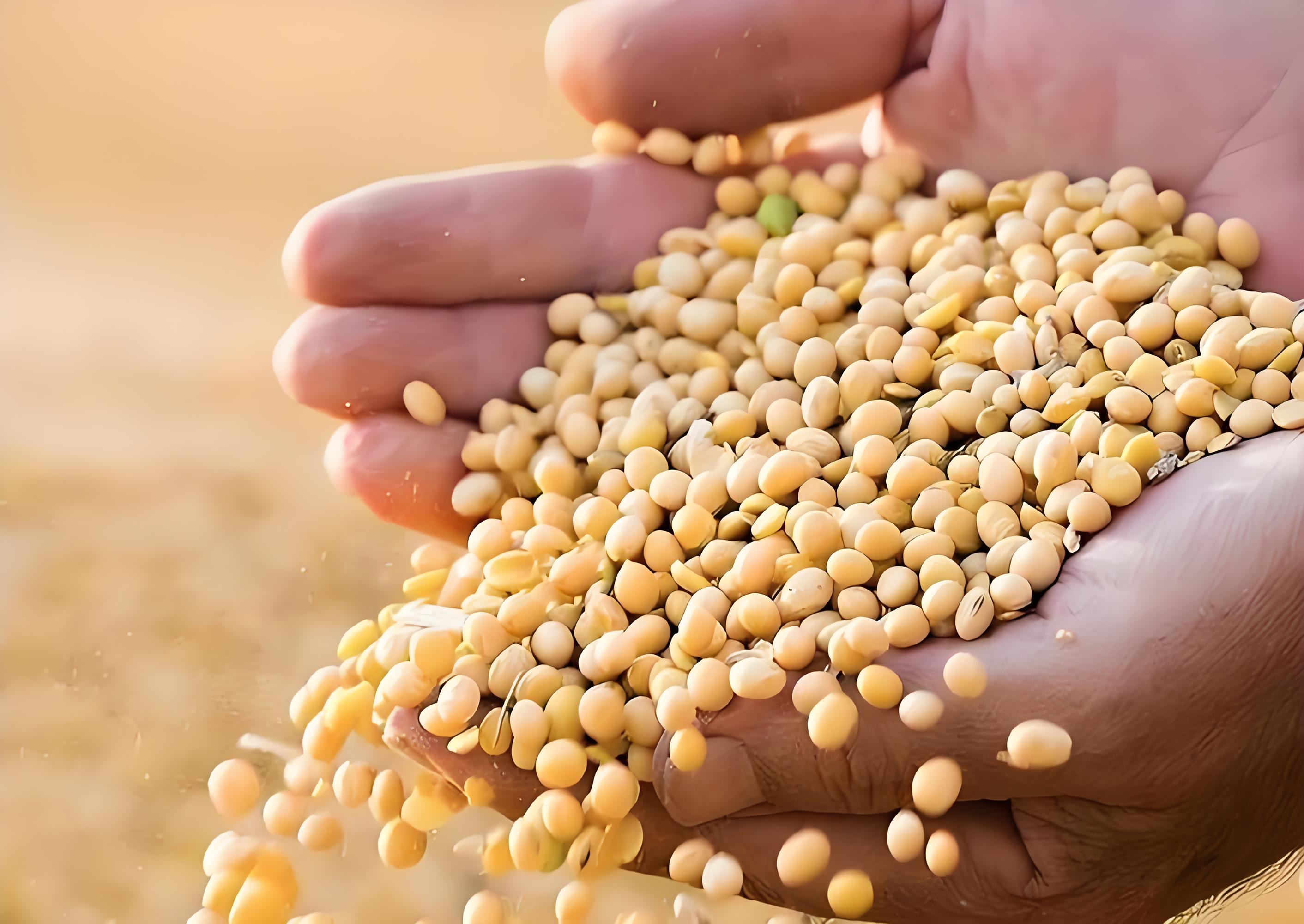 Soybean agglutinin test kit test samples