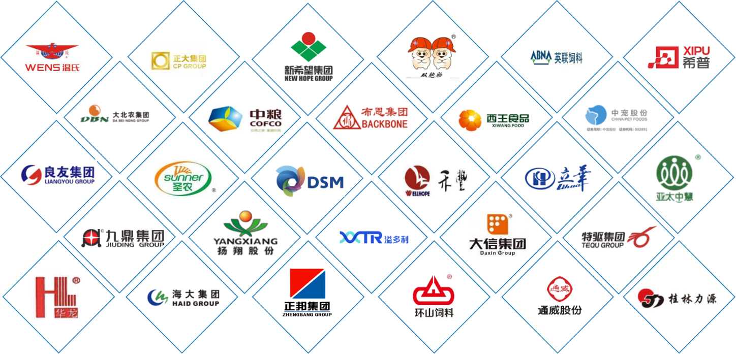 Selected Xinyu Bio partners across feed, grain, food processing and animal nutrition industries