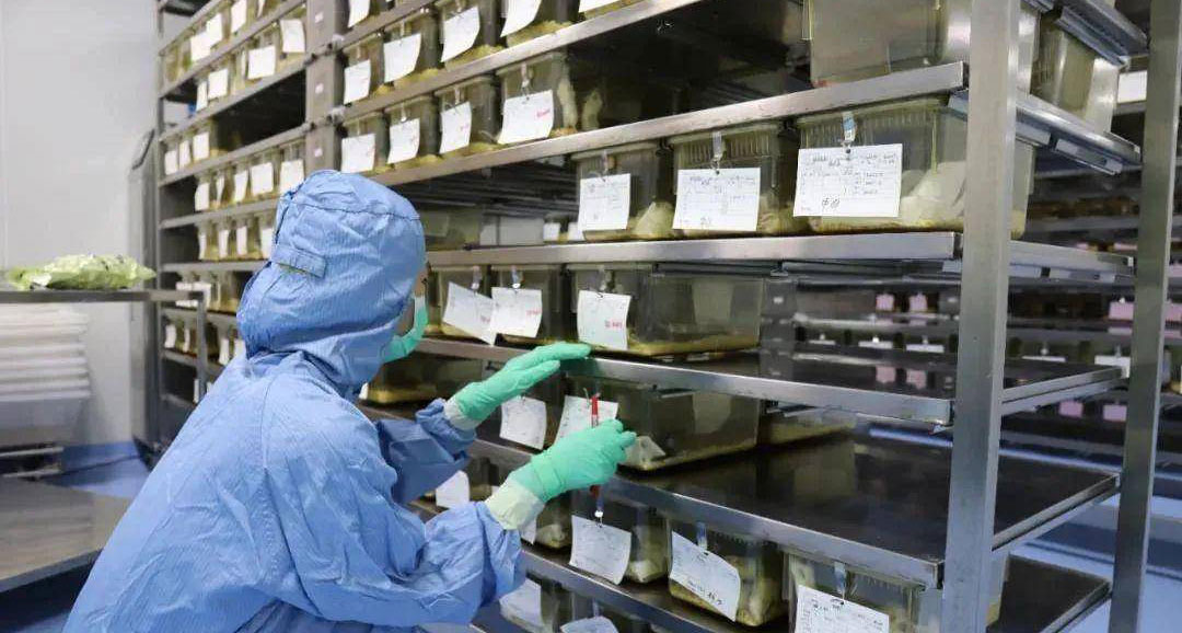 Core reagent preparation laboratory
